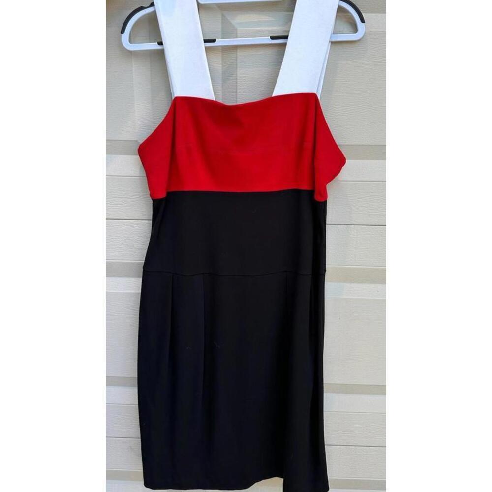 NUE by Shani Color Block Dress - Stylish and Trendy